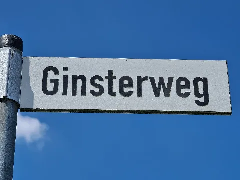 Ginsterweg