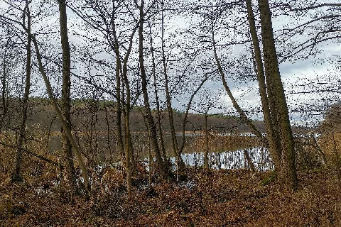 Strehlesee Wandlitz 2020 12 28 2