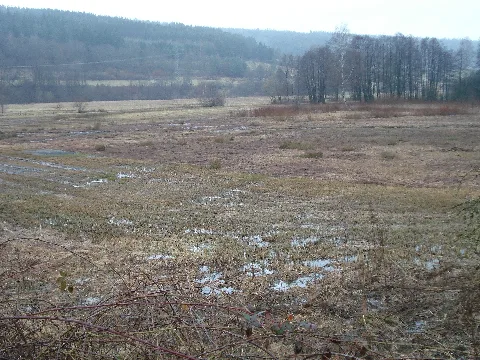 Struth Von Altengronau