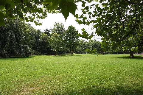 Südpark In Münster