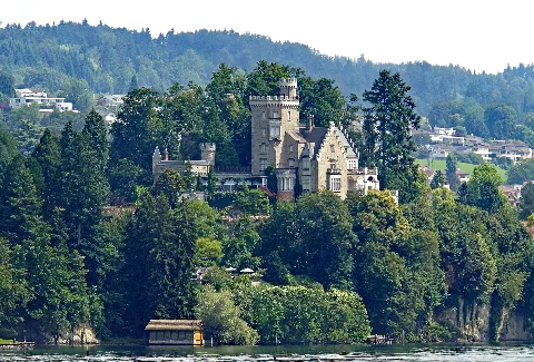 Switzerland 03542 Neuhabsburg Castle (23843796415) (Cropped)