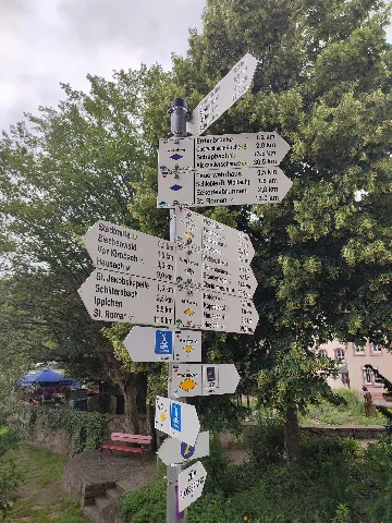 Swv Wegweiser Wolfach Narrenbrunnen