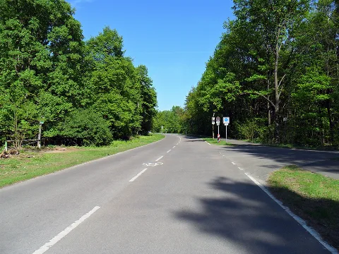 Teufelsseechaussee Berlin Grunewald 2011 1