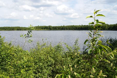 Theikenmeer