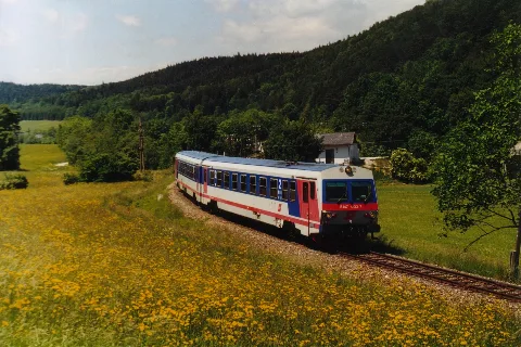 Thenneberg X.5.01