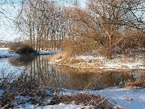 Tibaum Hamm4