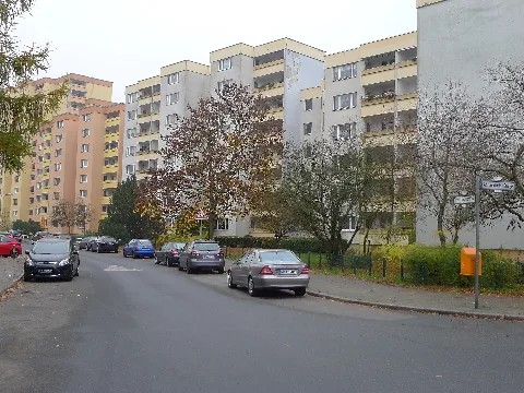 Tirschenreuther Ring