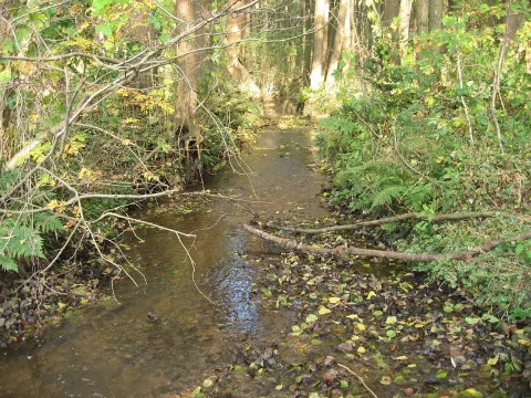 Am Bach
