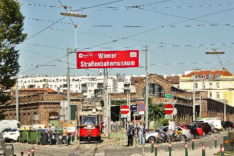 Trama Muzeo De Vieno