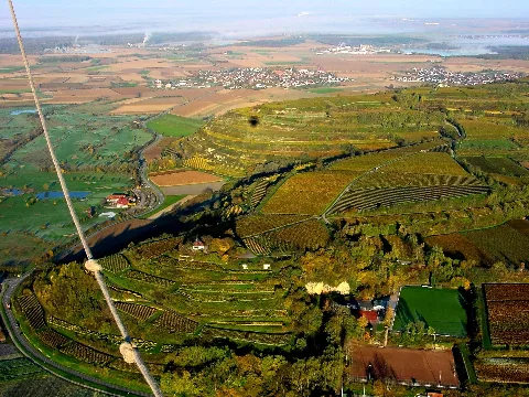 Tuniberg