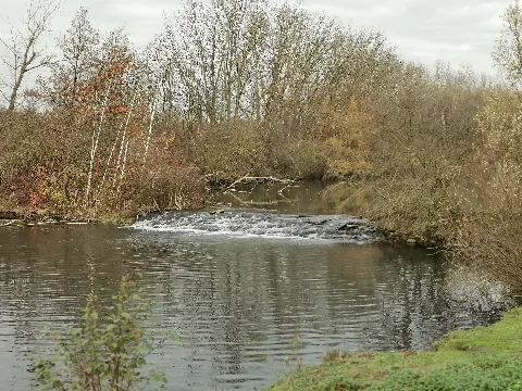 Übergang Von Einem Teich In Den Nächsten