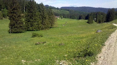 Untere Krainsberger Alm