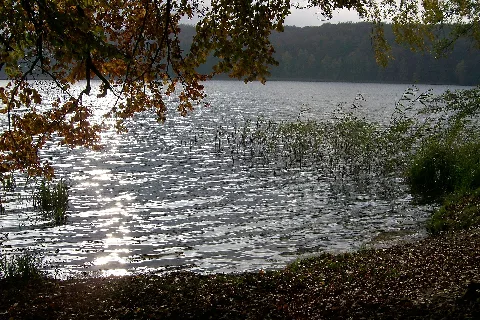 Usedomwolgastseeufer