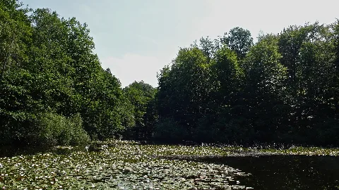 Villenhofer Maar 2019
