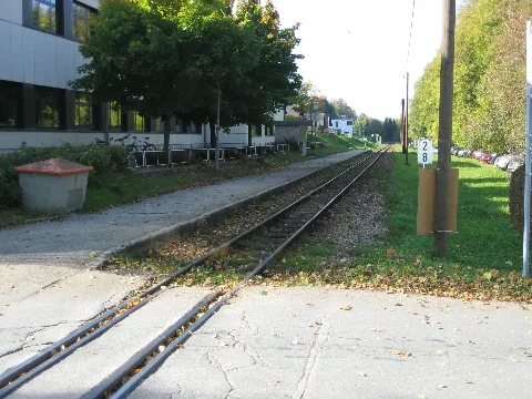 Vogelsang Bf 01
