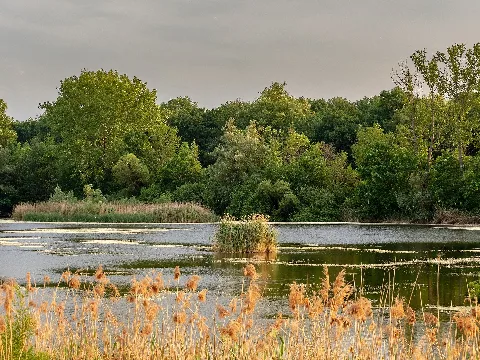 Vogelschutzgebiet Garstadt 5190731