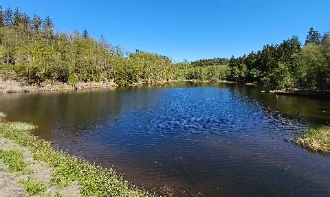 Vorbecken Dreilägertalspeerre, Roetgen (7)
