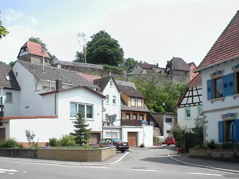 Waldangel Schlossblick Web