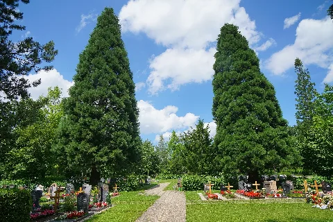 Waldfriedhof Böblingen 02
