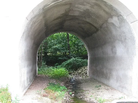 die Unterführung für den Wandersteinbach unter der Hannöverschen Südbahn oberhalb der Straße Auf dem Berge in Hann. Münden-Bonaforth