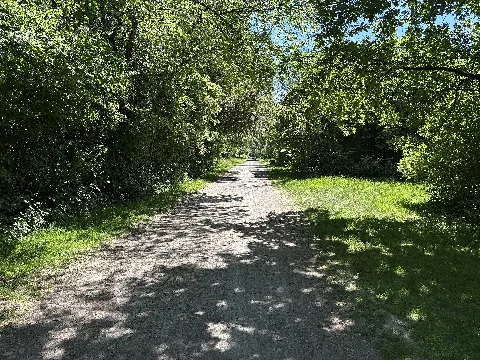 Wanderweg Durch Das Naturschutzgebiet