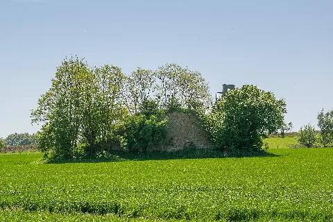 Warburg 2018 05 05 Wohnturmruine Asseler Feld (02)