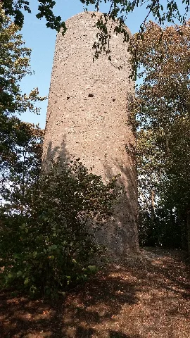 Wartturm Bad Mergentheim 1