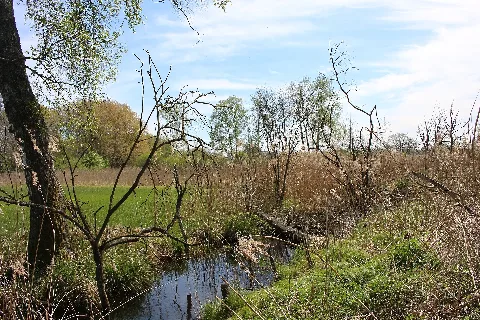 Weichser Moos 01