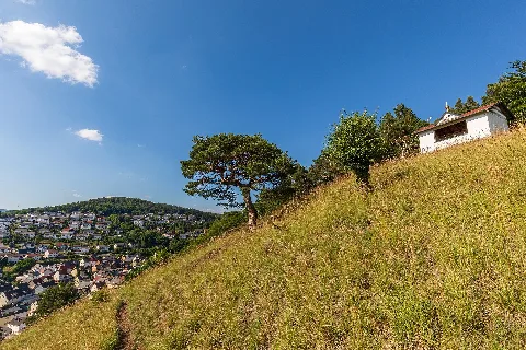 Weißehöll Bei Niederscheld 14