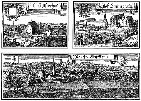 Waldhöhe