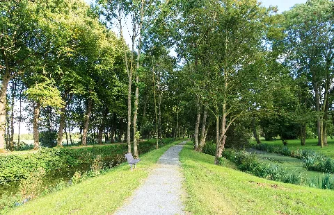 Schilfstraße