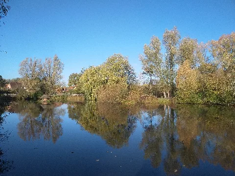 Wettig Park Dorfmark