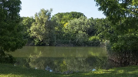 Wien 10 Kurpark Oberlaa Gänseteich A