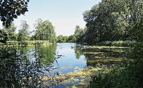Wien Schillerwasser 1 Ivg67