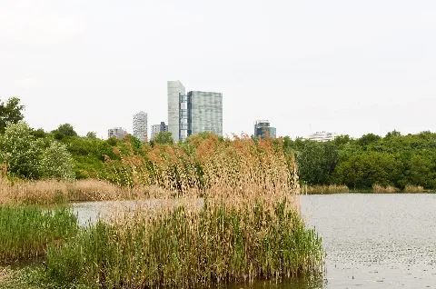 Wienerberger Teich02