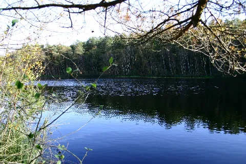 Wienpietschseen