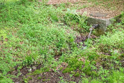 Willebadessen 2017 05 25 Nsg Quellgebiet Bockskopf (15)