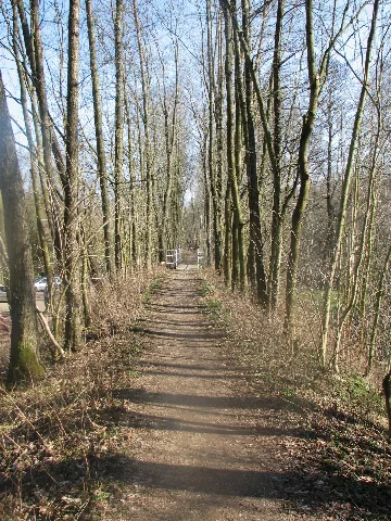 Wilsdruff Gärtitz Trasse Bei Polenz