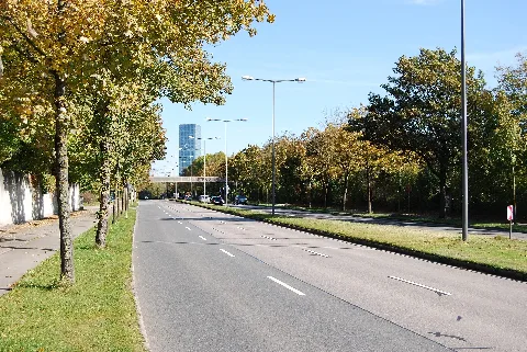 Wintrichring