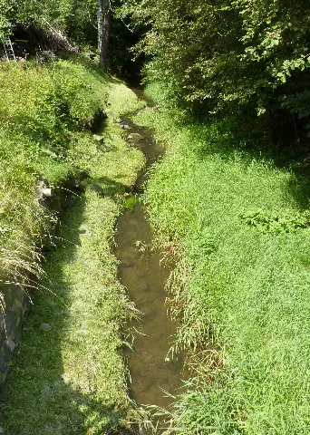 Wittgendorfer Wasser 2010 08 04 03