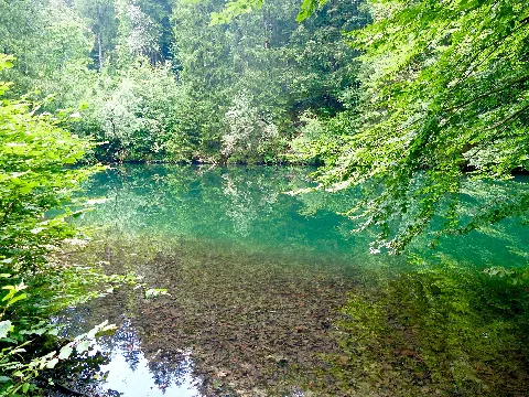 Wle 17 Faulenbacher Tal Waldsee 2