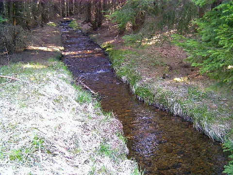 Wormsgraben1
