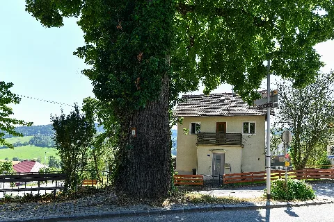 Wtb 20220722 Julbach Ortslinde 9361