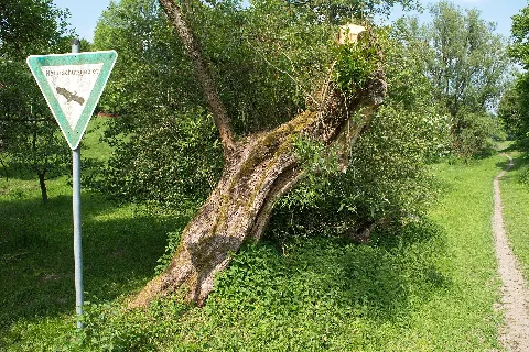 Wuppertal Murmelbachtal 2018 047