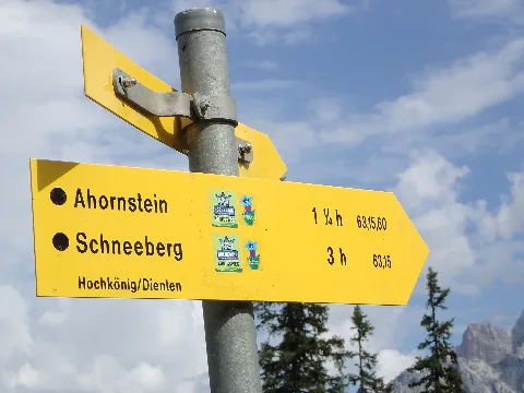 Ww Dienten Am Hochkönig 013