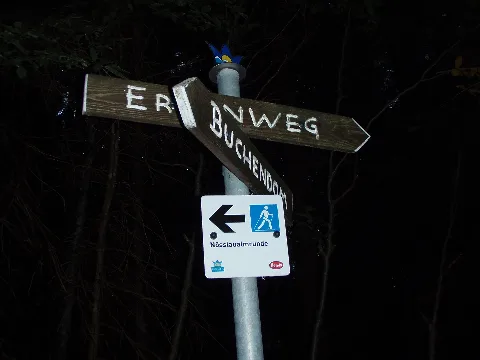 Ww Dienten Am Hochkönig 073