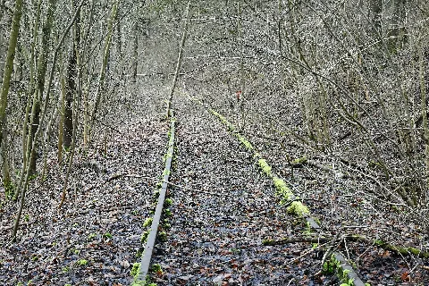 Zabergäubahn Kaywald 2021 01 23