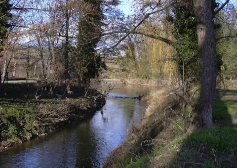 Zabermuendung