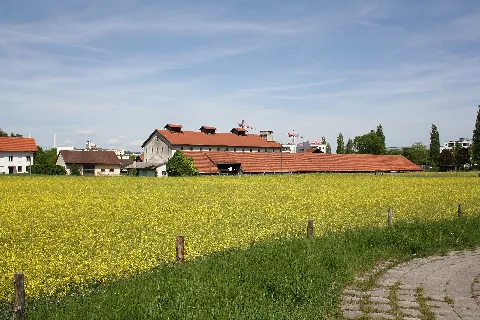 Ziegelei Oberföhring