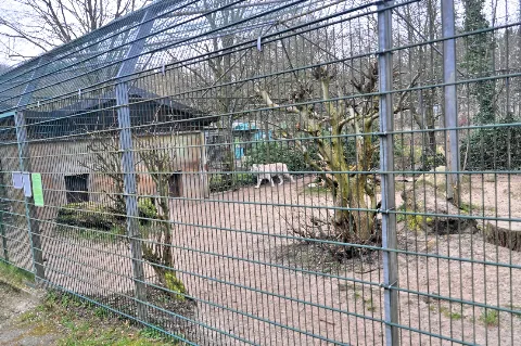 Zoo In Der Wingst 2014 By Raboe 014